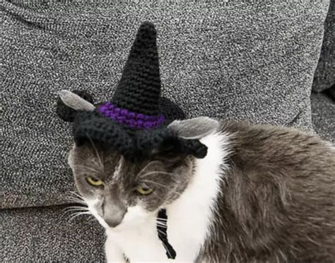 Celebrate Halloween in style: crochet a cat witch hat